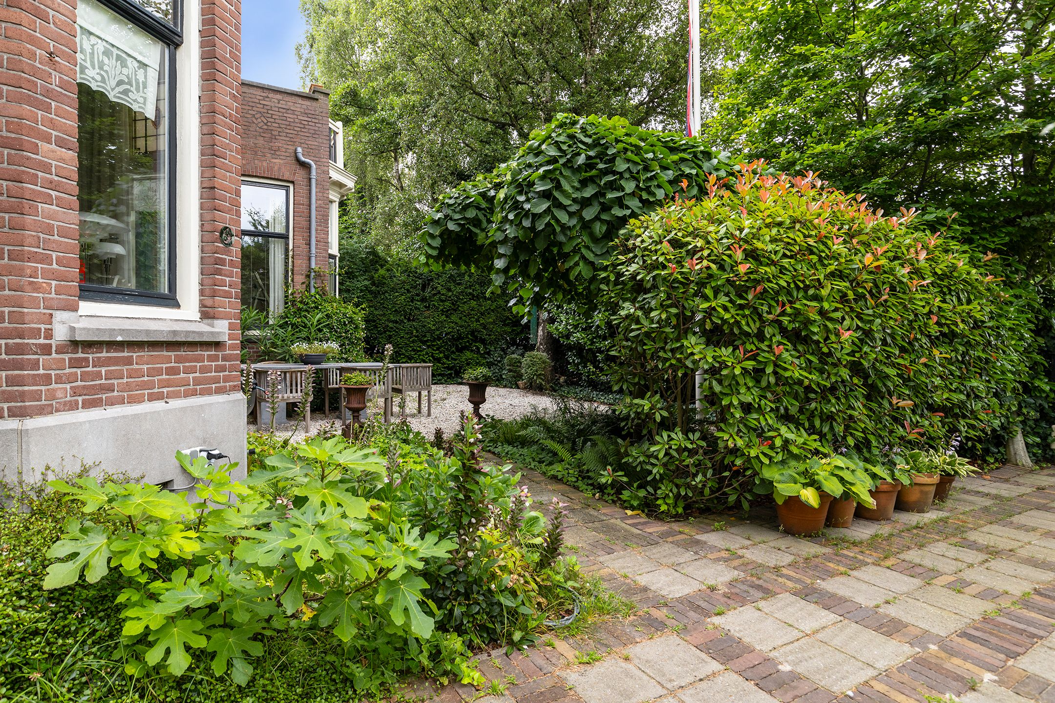 Photo 30 of Burgemeester Knappertlaan 30