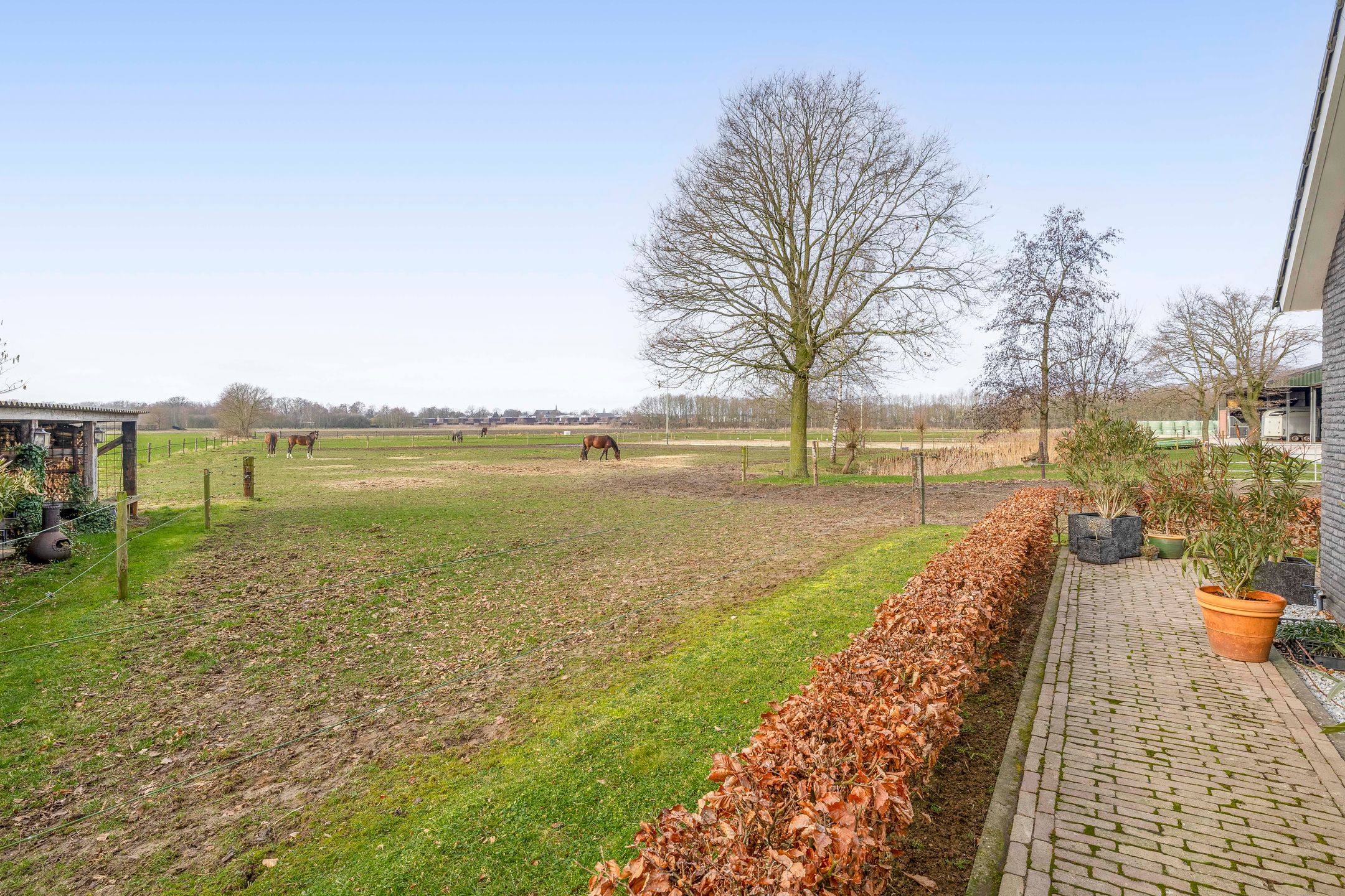 Photo 36 of Buskensven 1