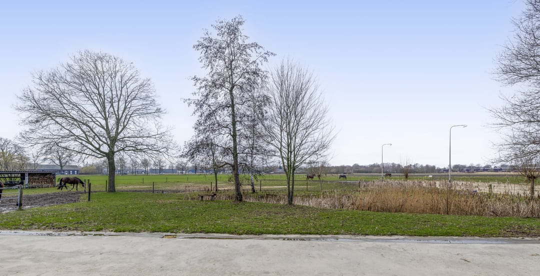 Photo 37 of Buskensven 1