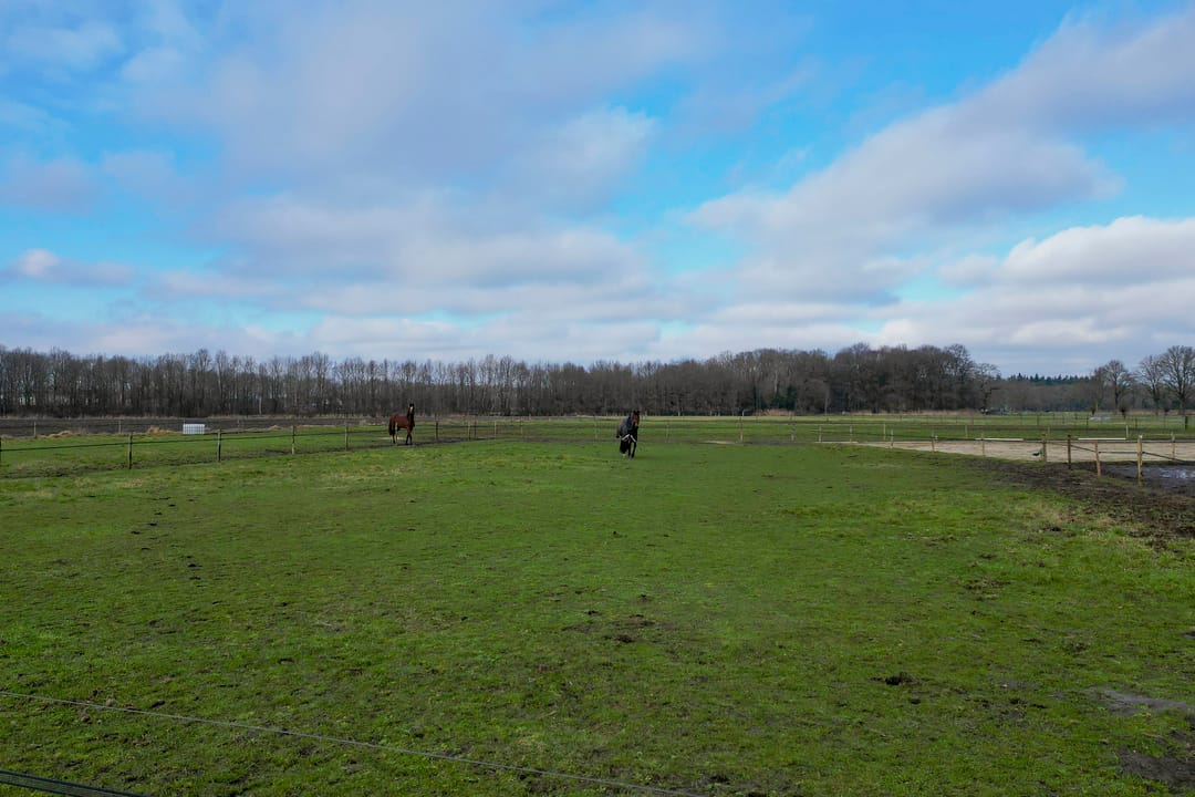 Photo 38 of Buskensven 1