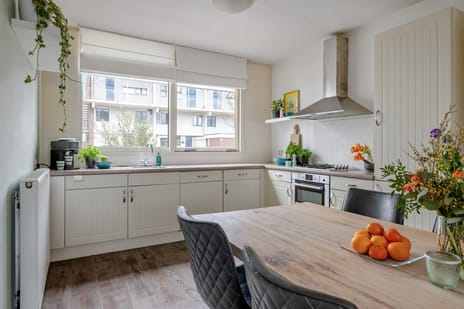 Nijenrode 24 tertiary image