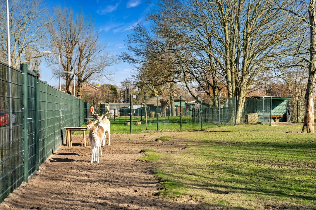 Foto 47 van Schoolplein 8