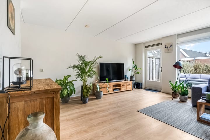 Foto 2 van Erasmusstate 98