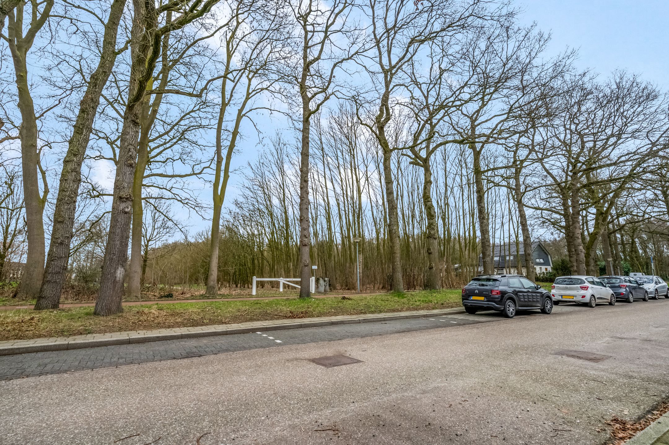 Foto 45 van Erasmusstate 98