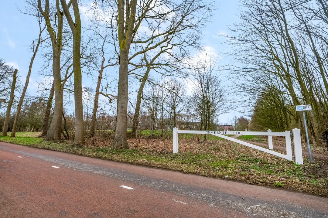 Foto 46 van Erasmusstate 98