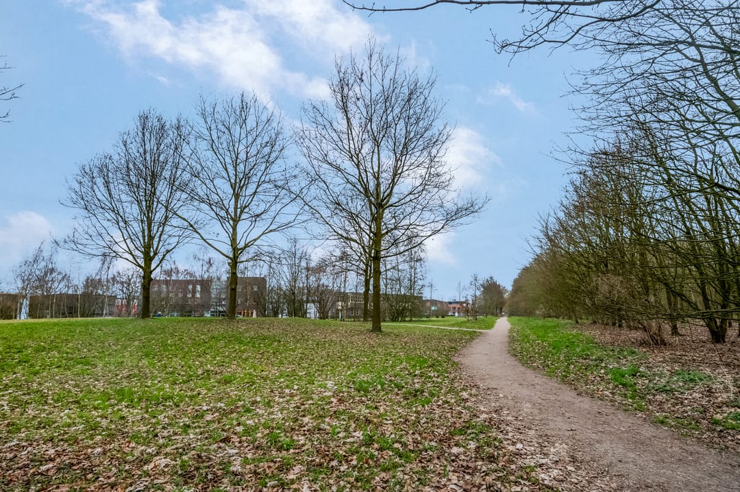 Foto 47 van Erasmusstate 98