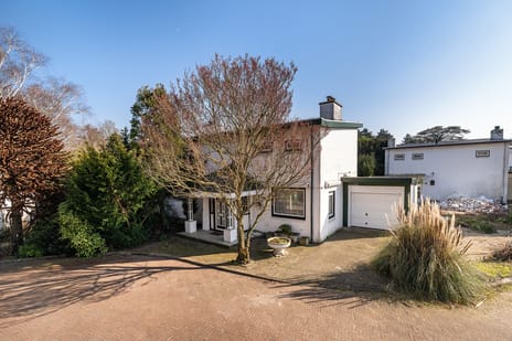 Loevesteinlaan thumbnail