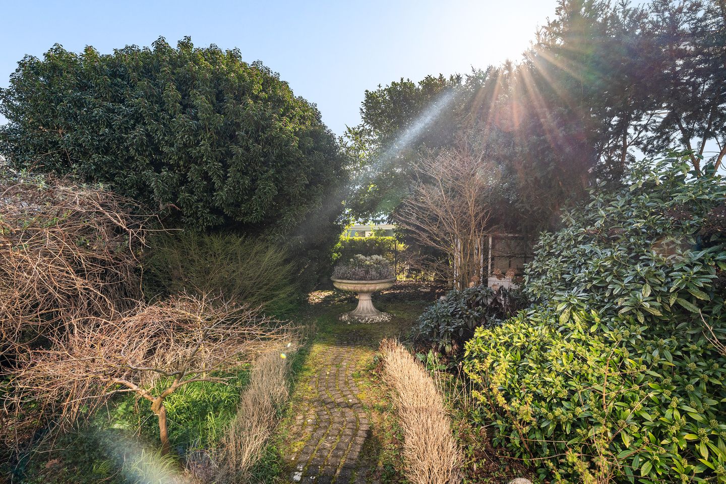 Photo 35 of Loevesteinlaan 198