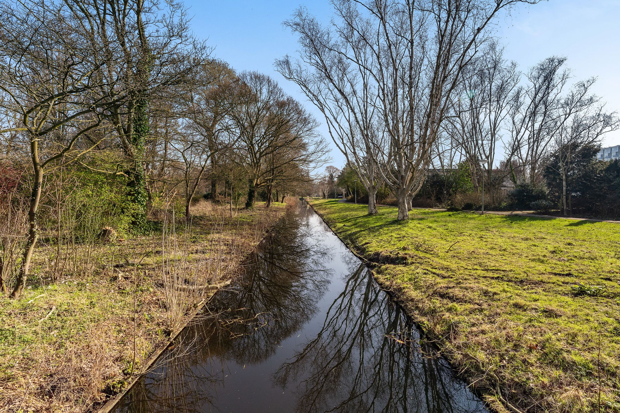 Photo 42 of Loevesteinlaan 198