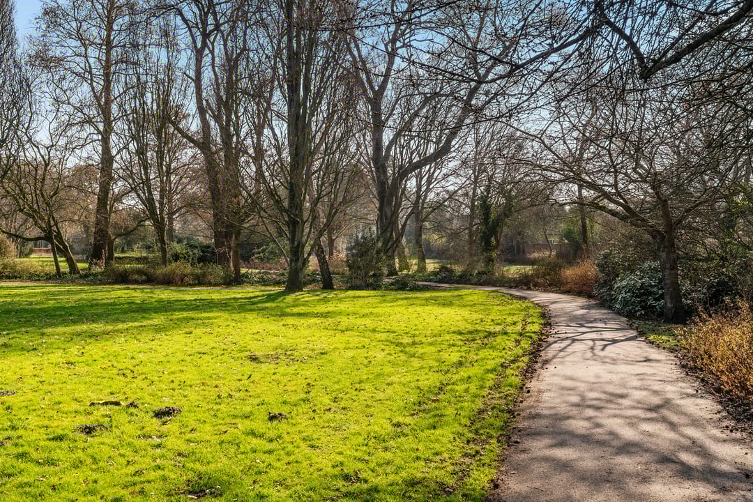 Photo 43 of Loevesteinlaan 198