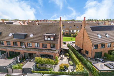 Thomas Morelaan 99 tertiary image