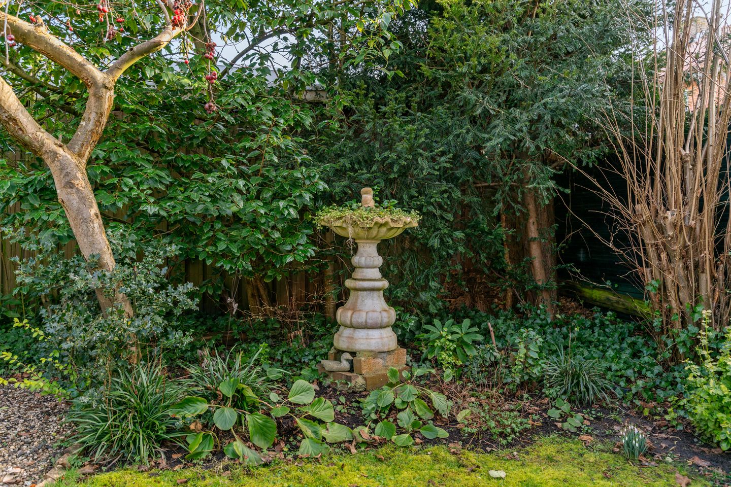 Foto 35 van Middelweg 181