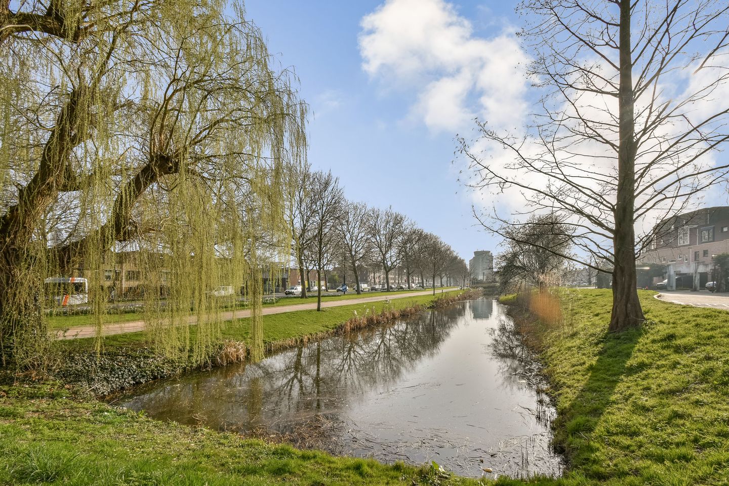 Photo 34 of Engelsche Boomgaert 29