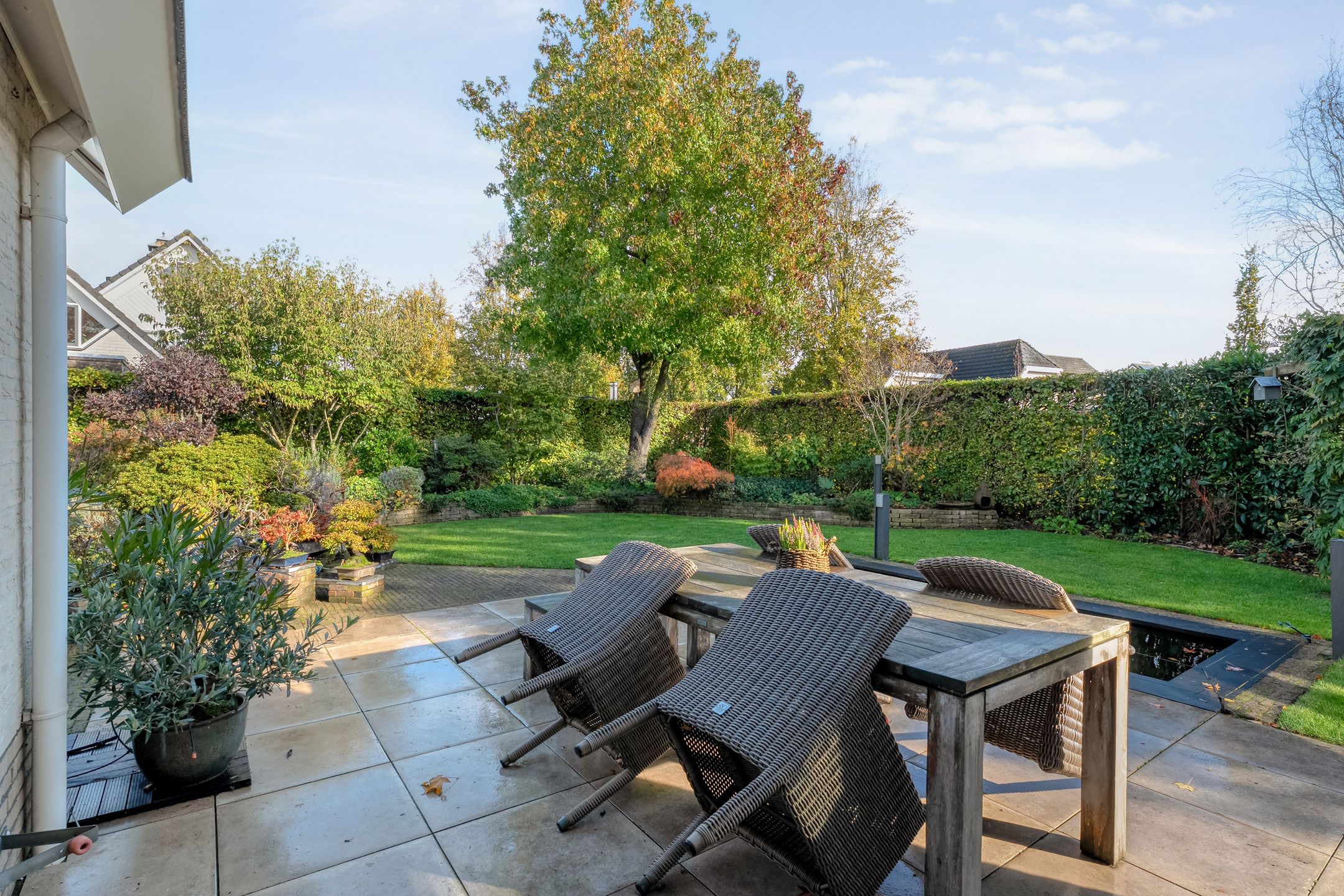 Photo 3 of De Spa 38