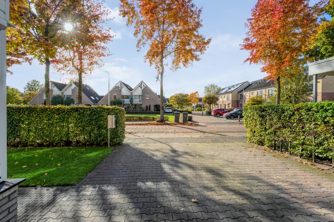 Photo 7 of De Spa 38