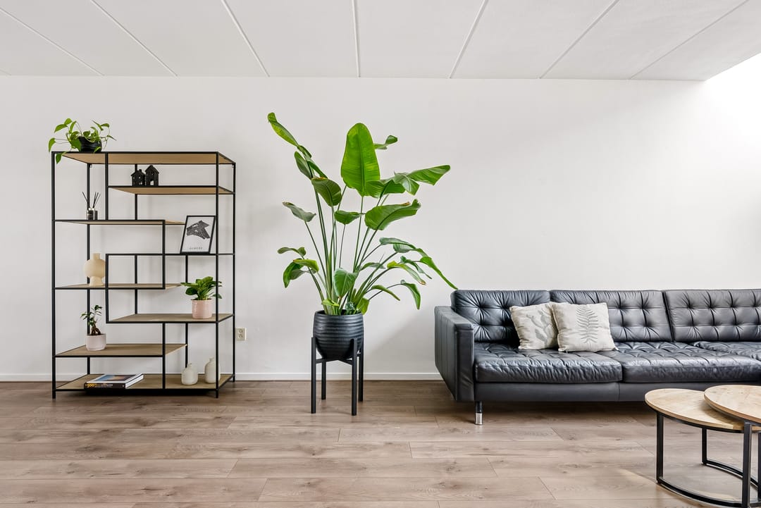 Foto 8 van Schottegat 9