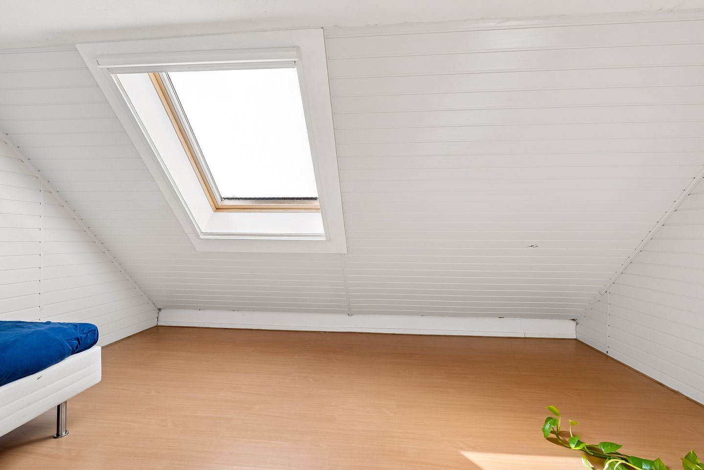 Foto 34 van Schottegat 9