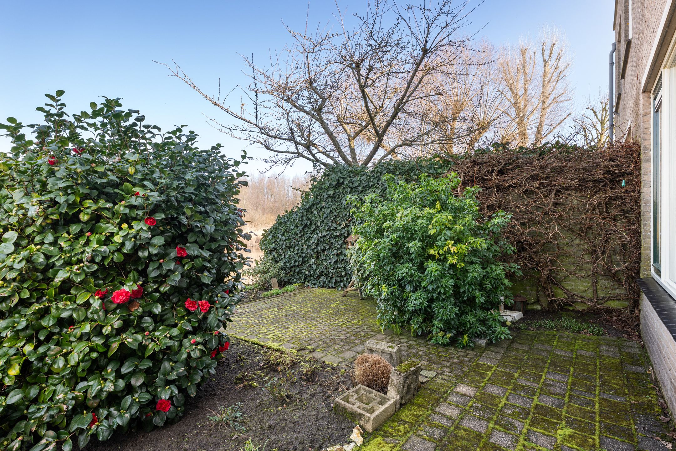 Foto 30 van Zuider IJsseldijk 36