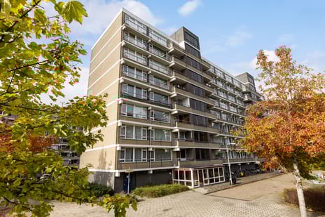 Tobias Asserlaan thumbnail