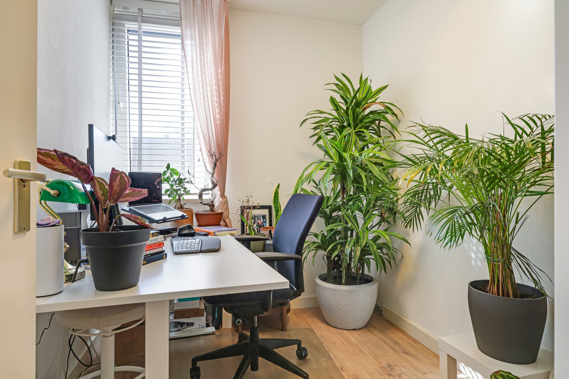 Foto 24 van Hof van Parma 96