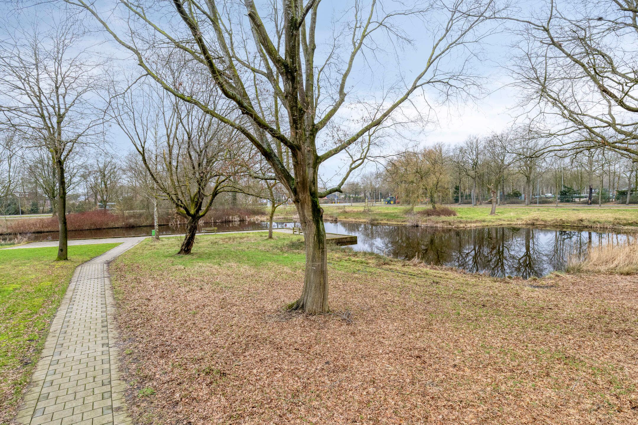 Foto 48 van Nicolaas Beetslaan 1-B4