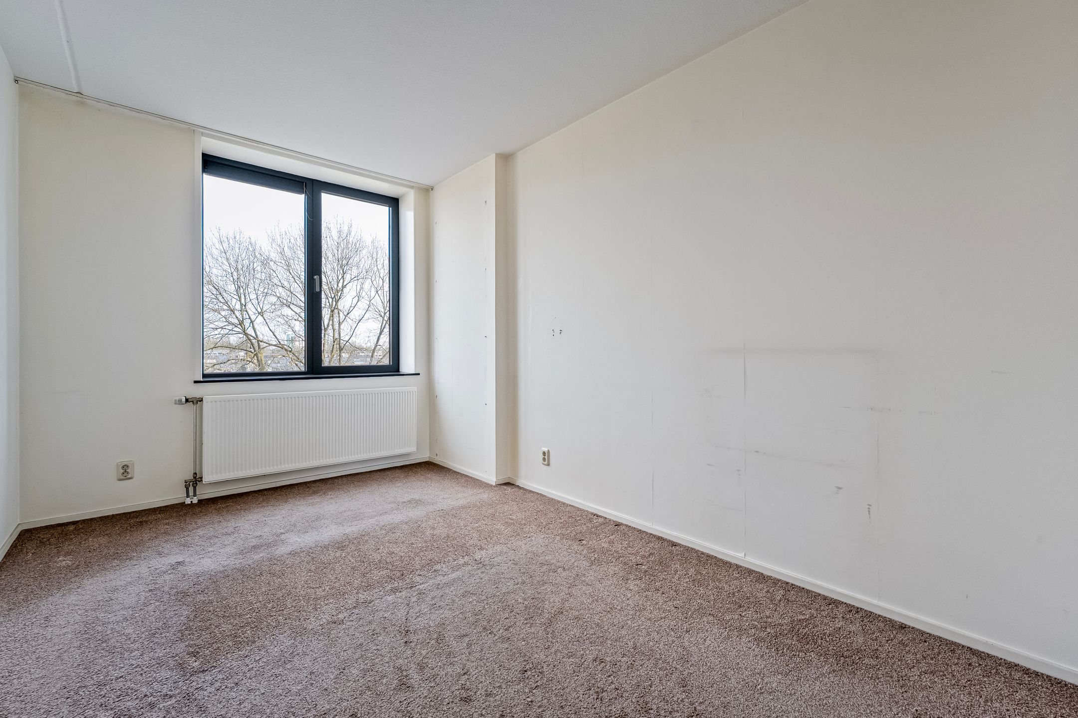 Foto 21 van De nije nering 56-31