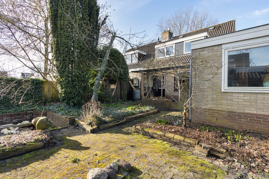 Foto 31 van Zwette 17