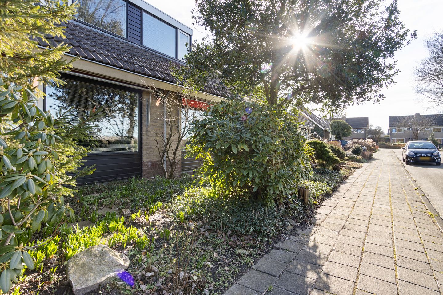 Foto 34 van Zwette 17