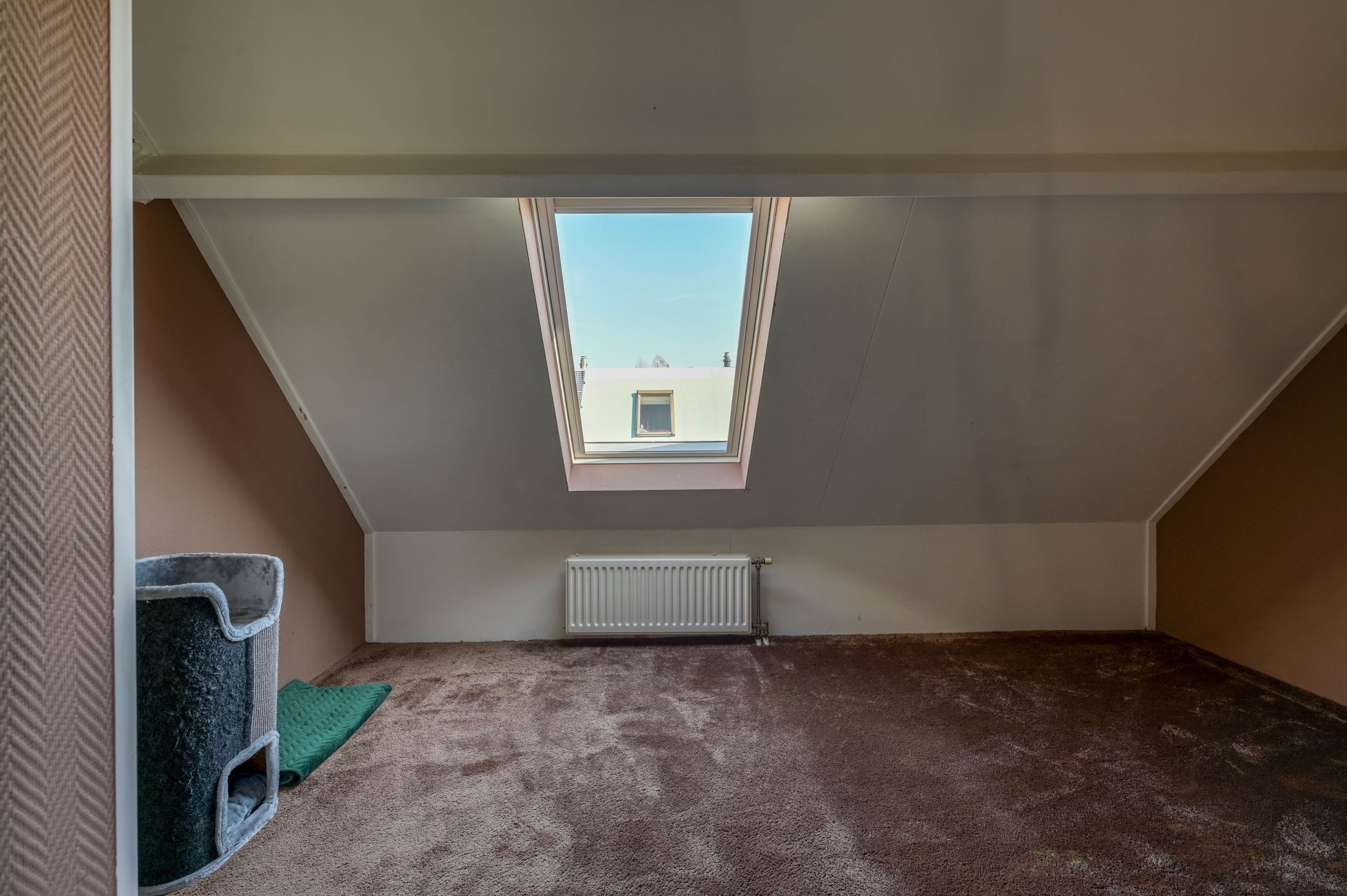 Foto 42 van Winkelstede 58