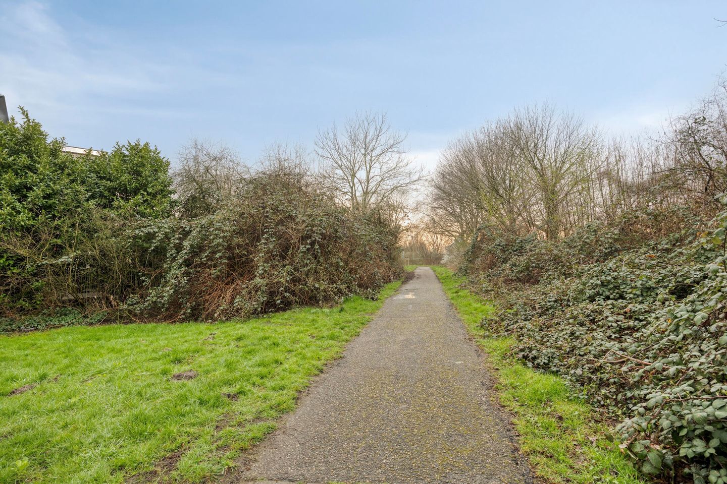 Photo 20 of Haydnstraat 36