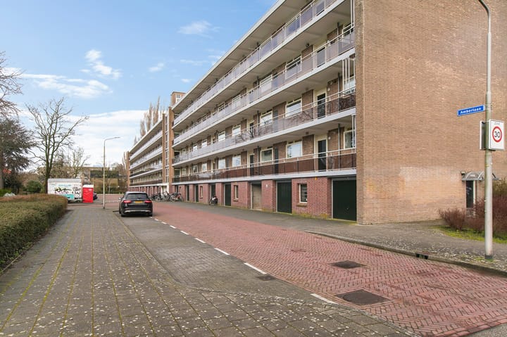 Foto 2 van Amberlaan 80-03