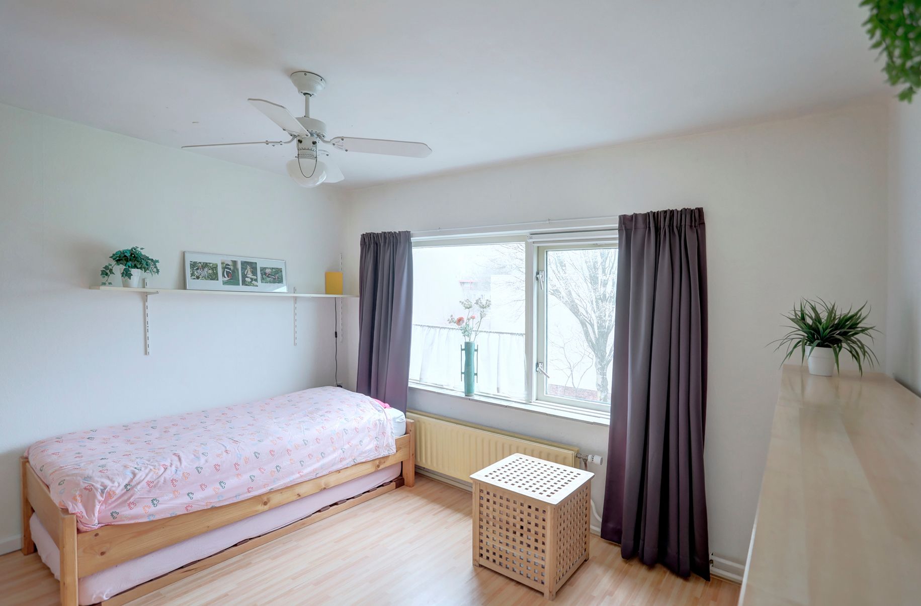 Photo 21 of Meijhorst 9201