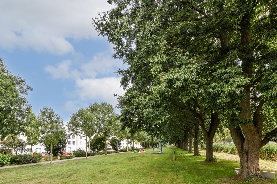 Foto 22 van Dolingadreef 249