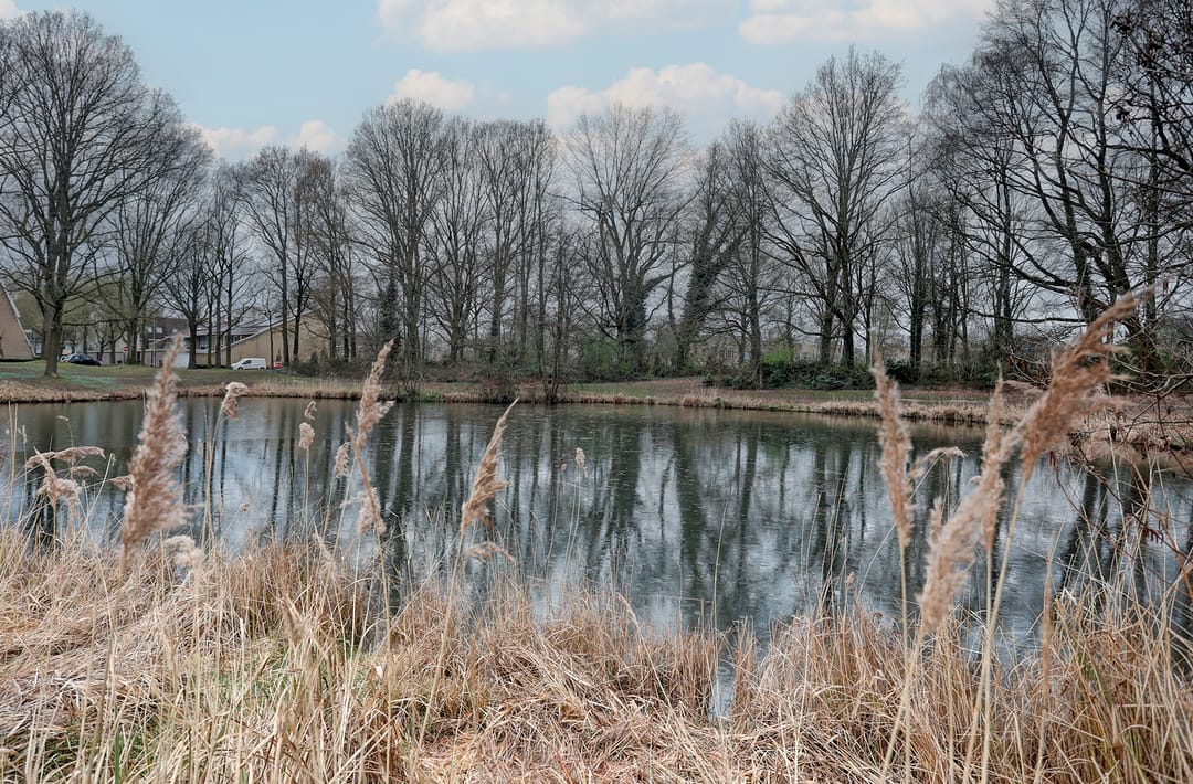 Photo 32 of Meijhorst 9201