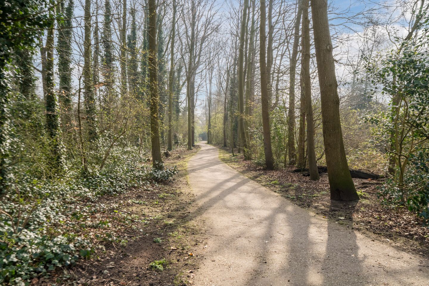 Foto 49 van Godijn van Dormaalstraat 32