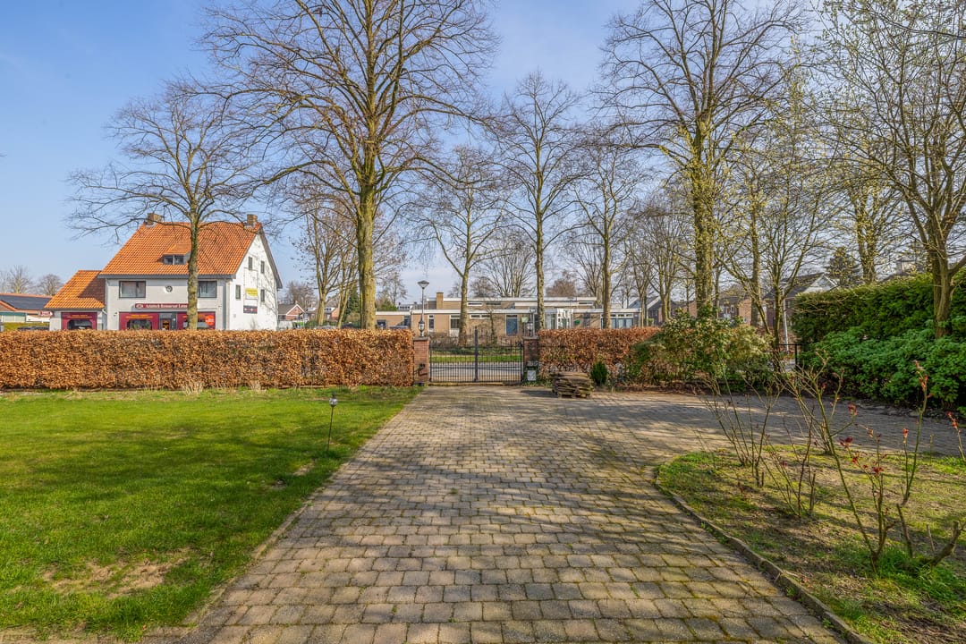 Photo 11 of Peeleik 8