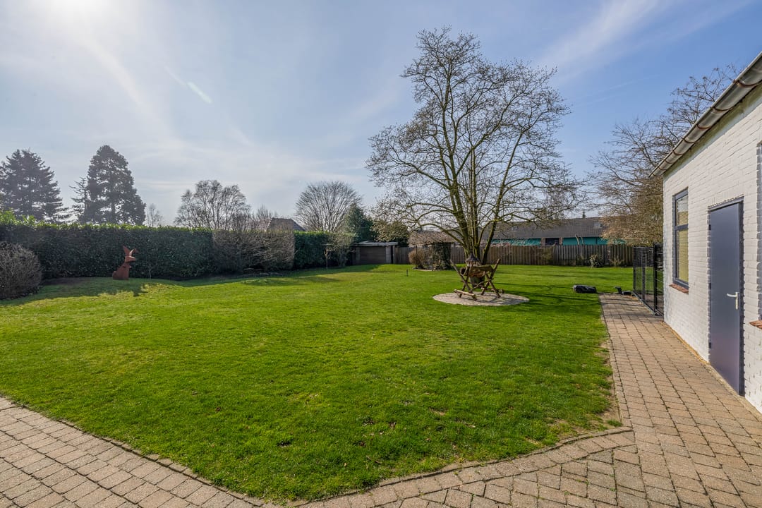 Photo 67 of Peeleik 8