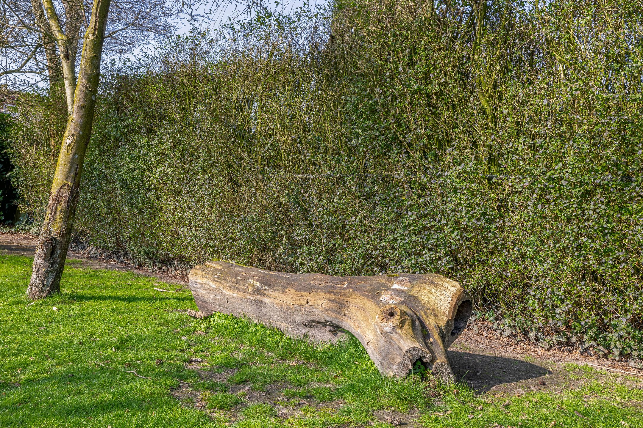 Photo 69 of Peeleik 8