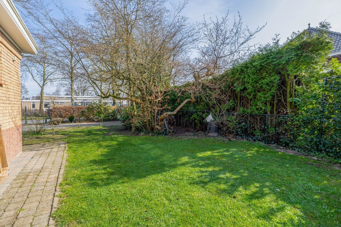 Photo 80 of Peeleik 8