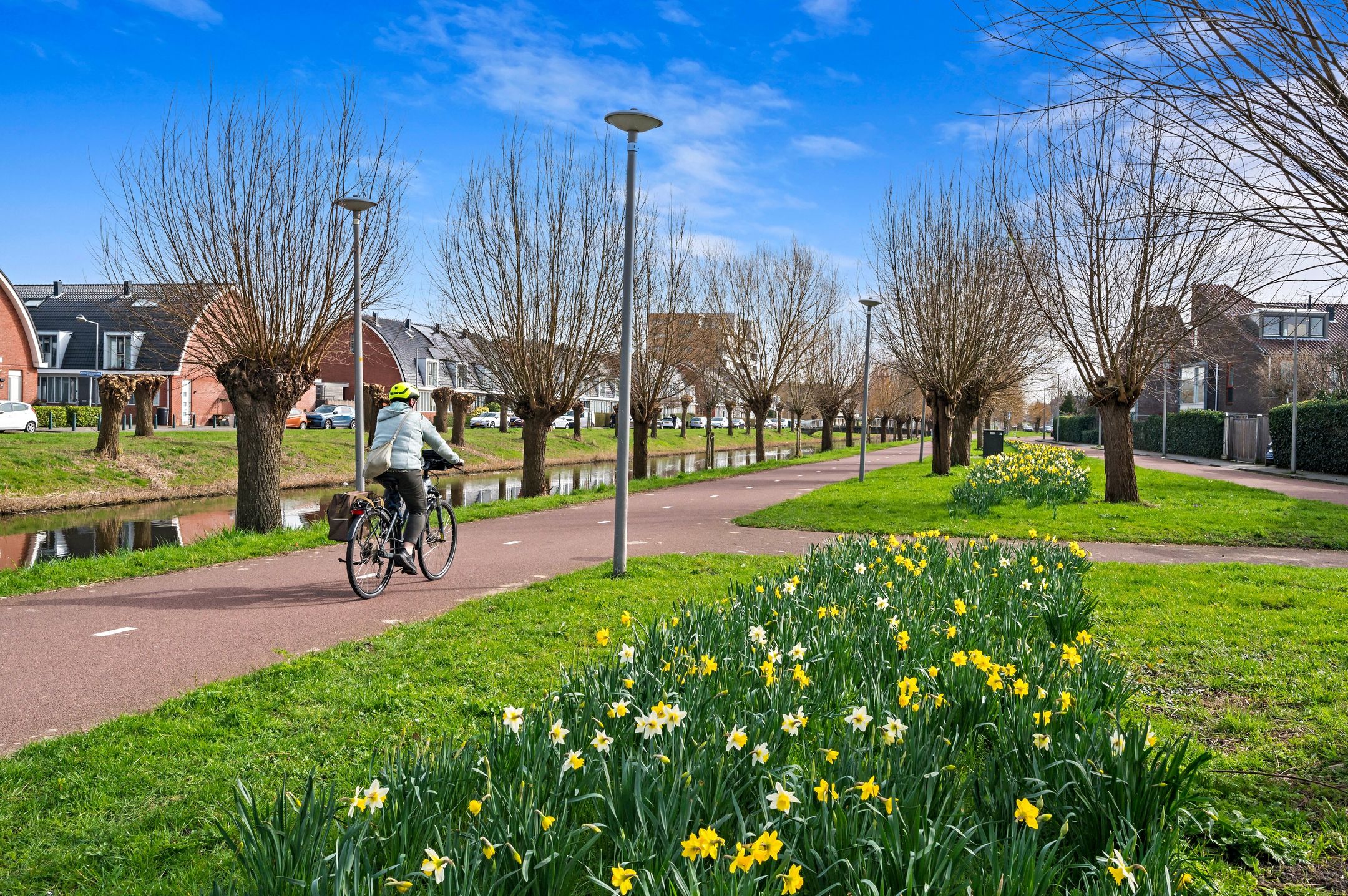 Photo 51 of Tom Navislaan 11