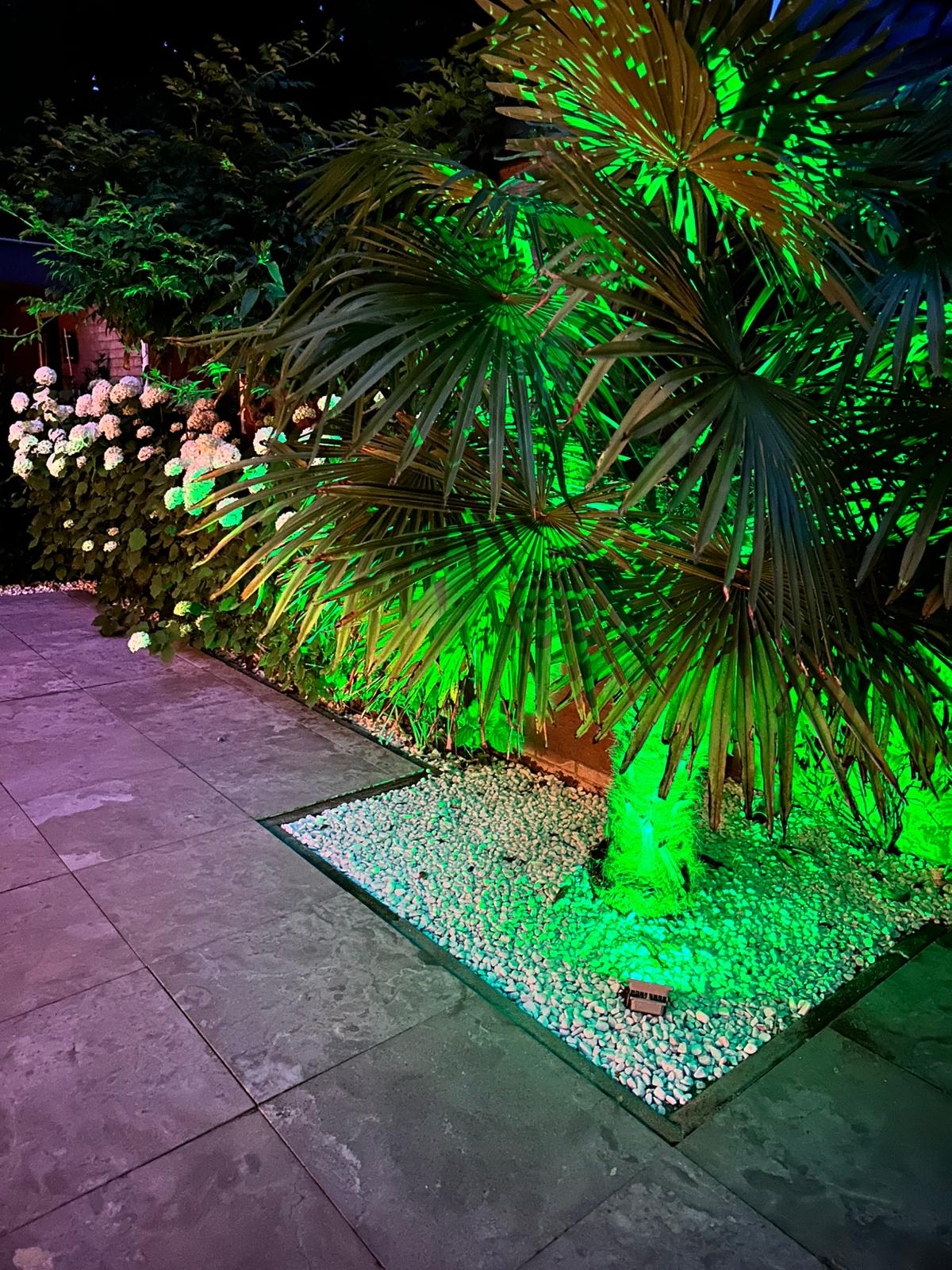 Foto 55 van Dijkzichtlaan 3