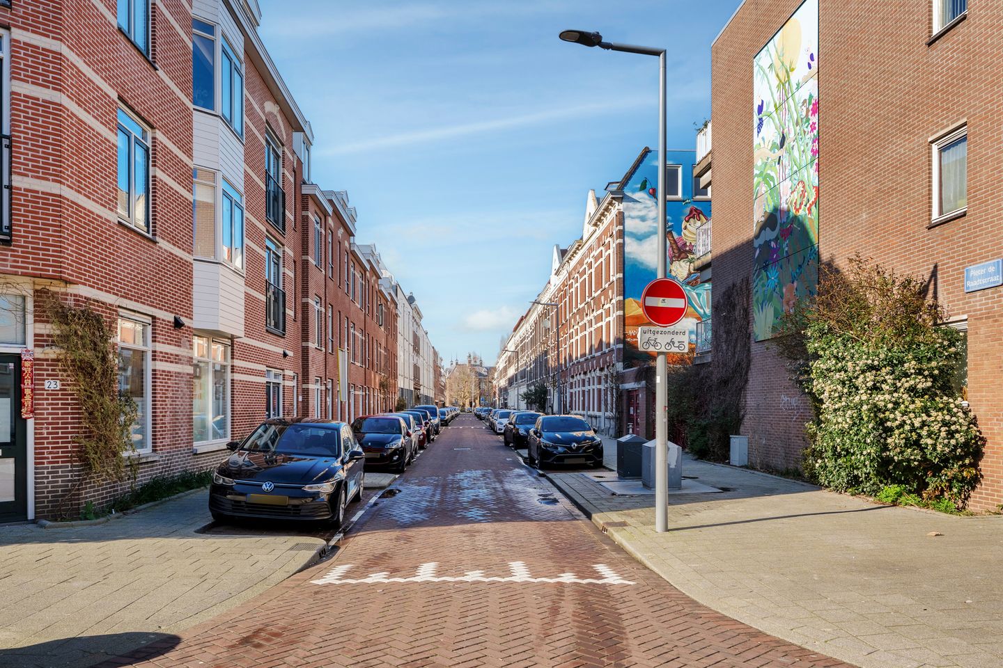 Foto 29 van Pieter de Raadtstraat 51