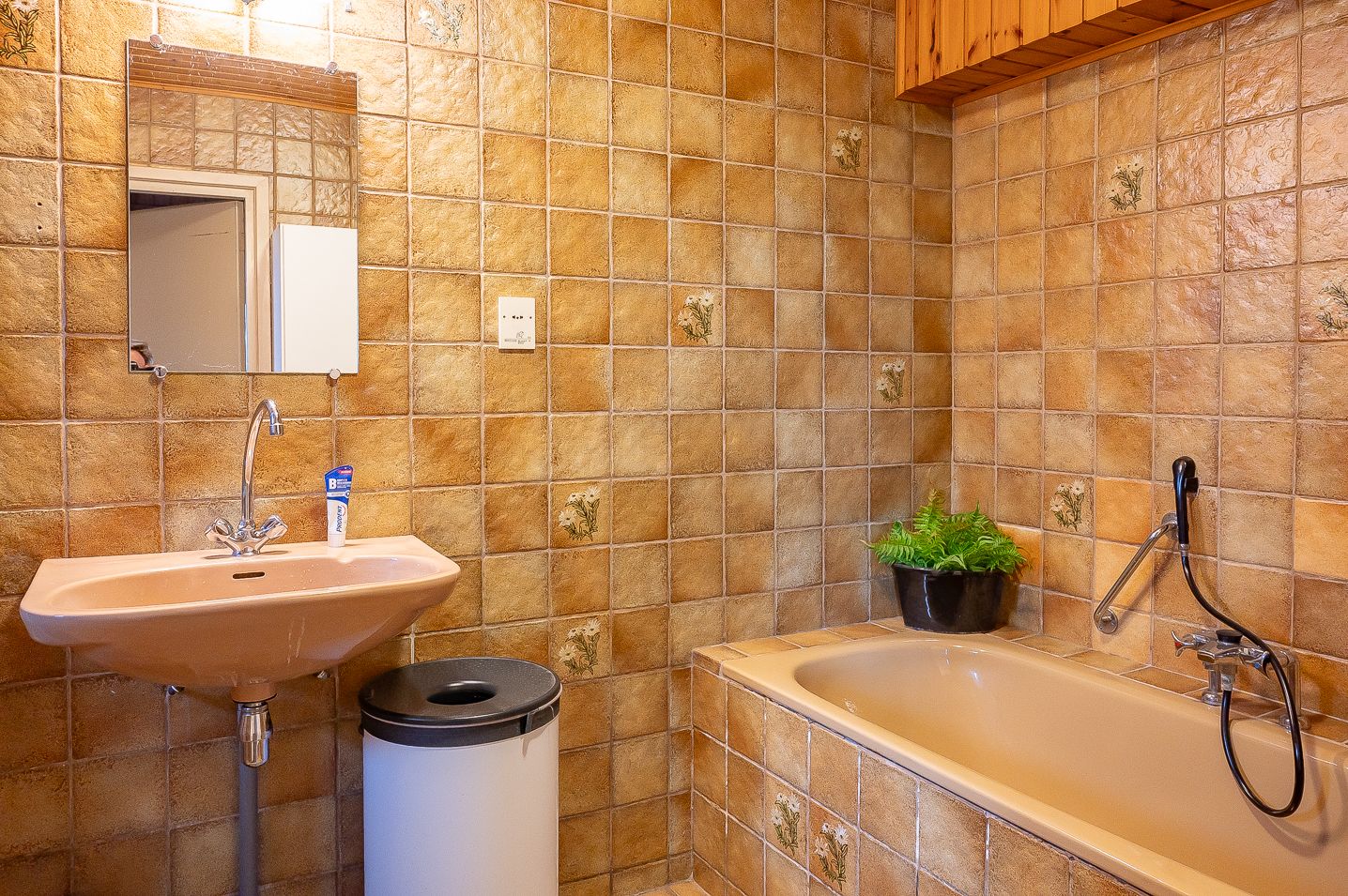 Foto 24 van Terborgseweg 11