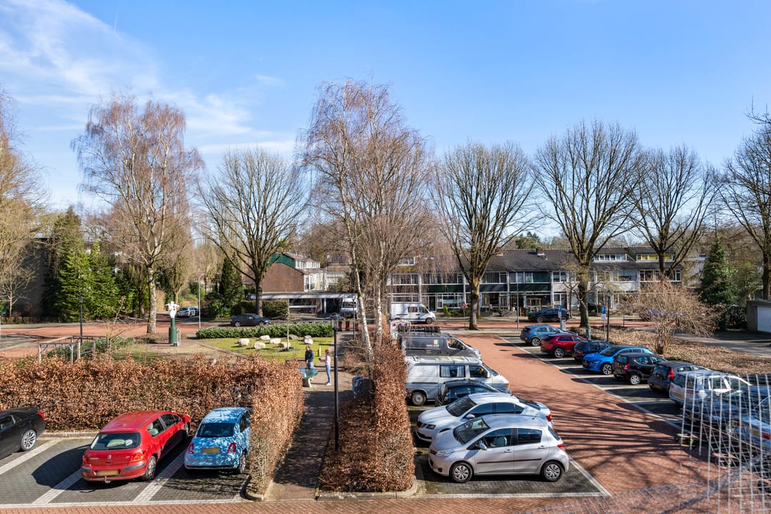 Foto 17 van Obrechtlaan 8