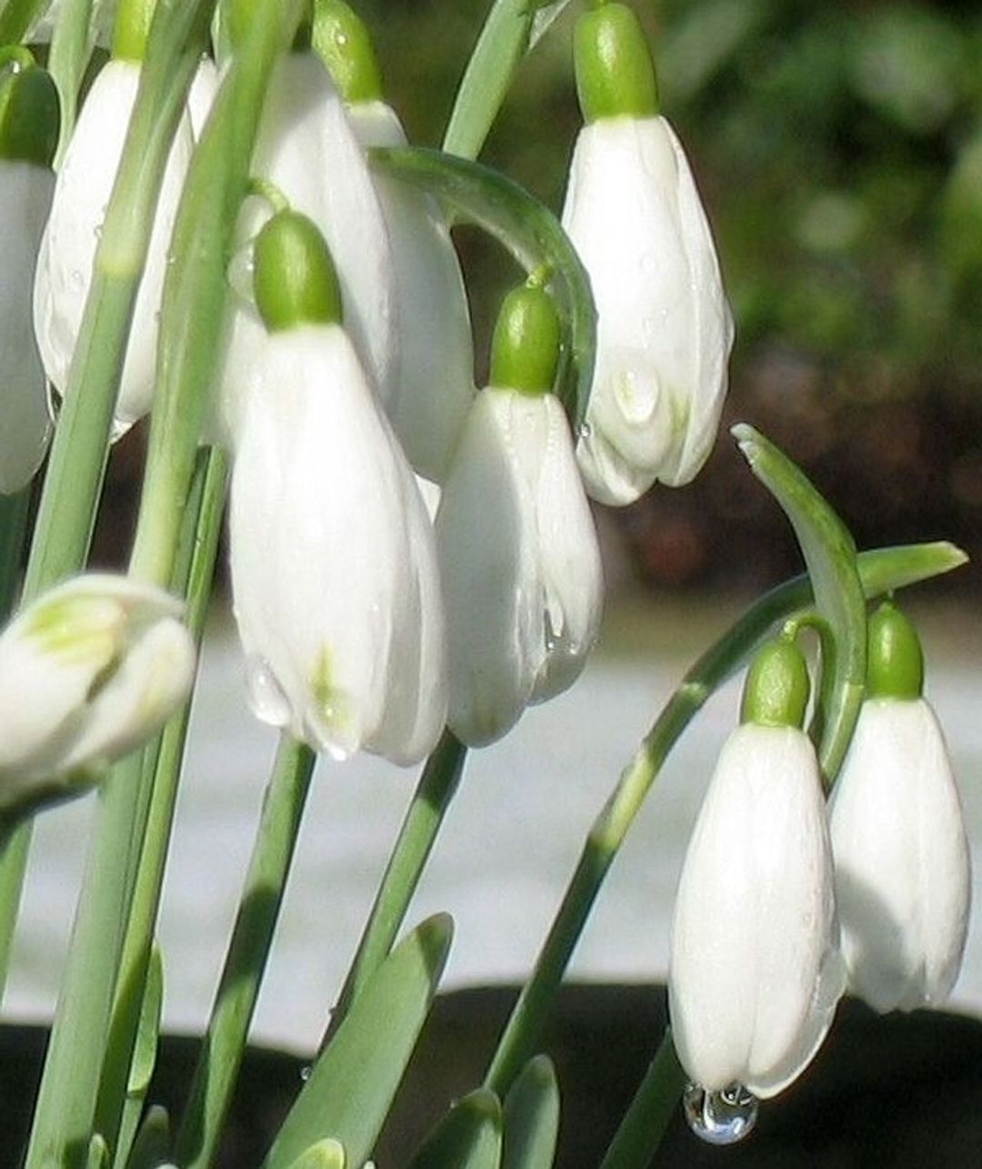 Photo 32 of Beeklaan 4