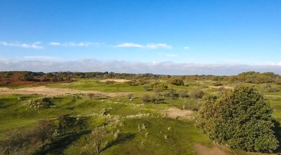 Photo 45 of Beeklaan 4