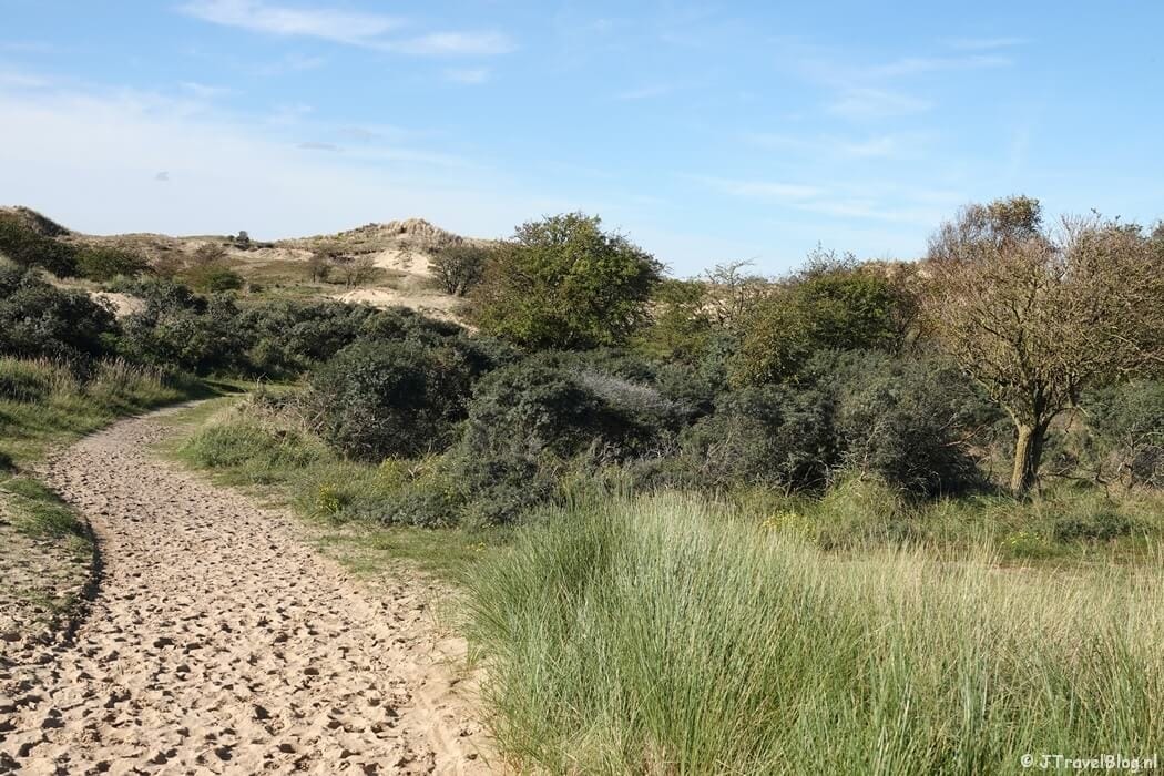 Photo 46 of Beeklaan 4