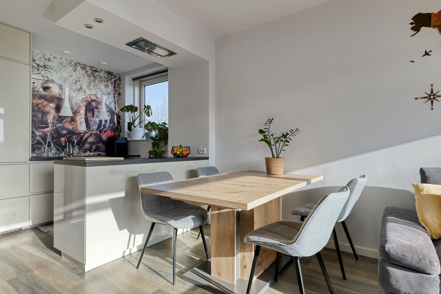 Foto 10 van Langswater 873