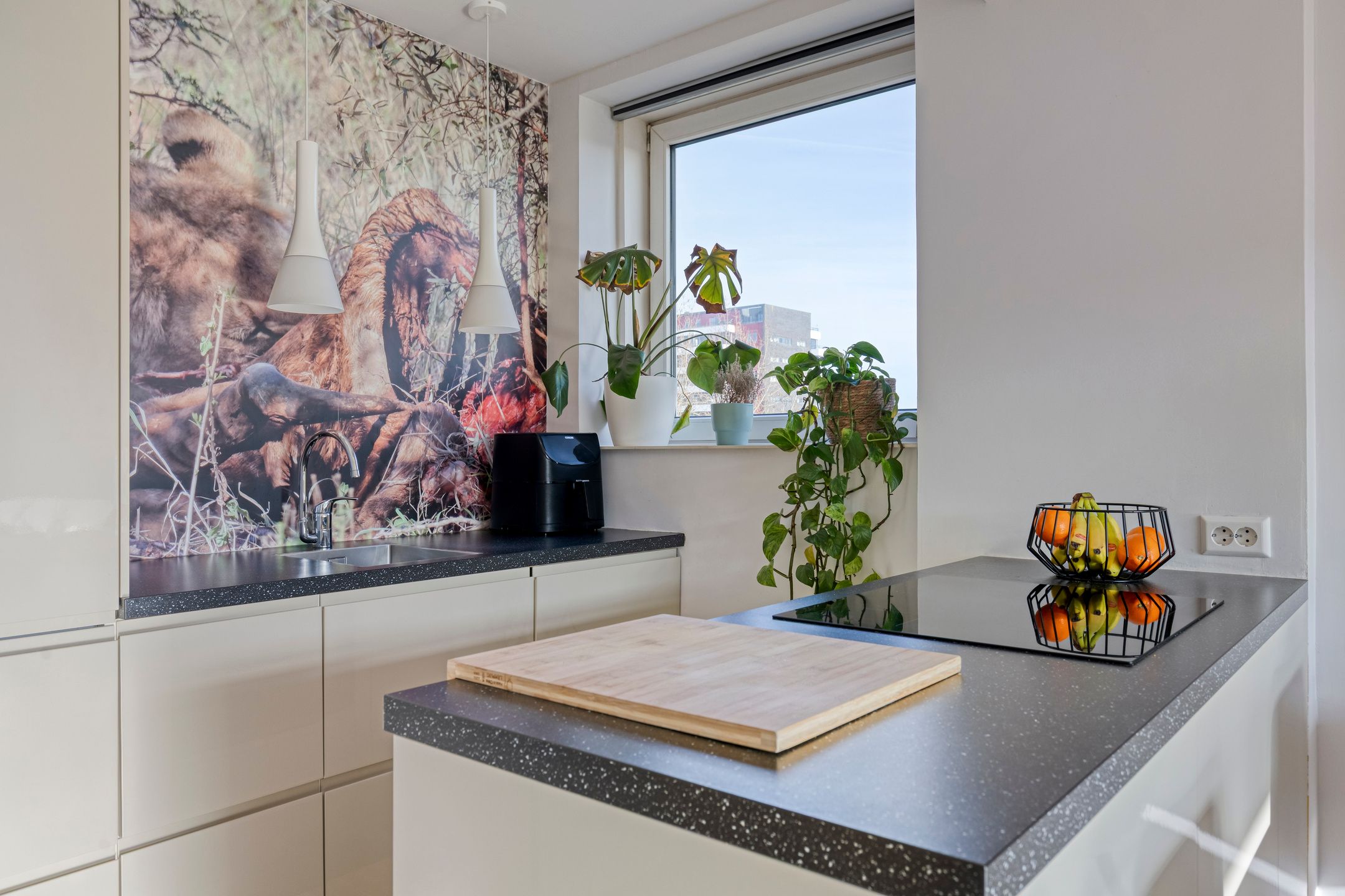 Foto 12 van Langswater 873