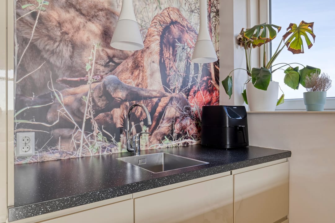 Foto 13 van Langswater 873